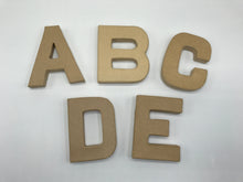 Load image into Gallery viewer, Papier Mache Letters & Symbols