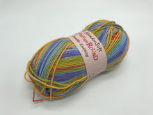 Load image into Gallery viewer, WonderSoft Merry-Go-Round Multicoloured Double Knitting Yarn