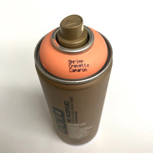 Load image into Gallery viewer, Montana Gold Spray Paint