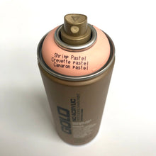 Load image into Gallery viewer, Montana Gold Spray Paint