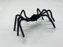 Load image into Gallery viewer, Pipe Cleaners - Assorted Styles and Lengths

