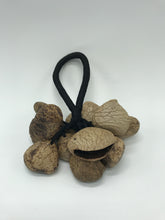 Load image into Gallery viewer, Nut Cluster - Pangi Seeds
