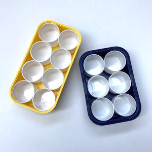 Plastic Tray - 6 or 8 pots
