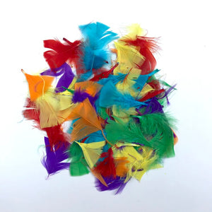 Small Colourful Feathers